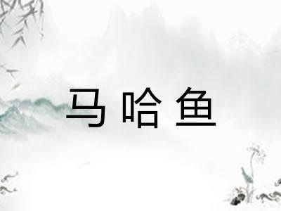 马哈鱼 马哈鱼