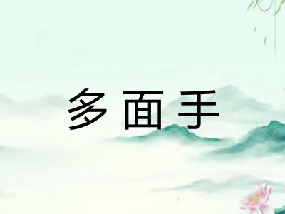多面手