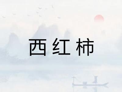 西红柿 西红柿