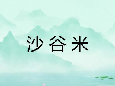 沙谷米 沙谷米