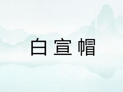 白宣帽 白宣帽