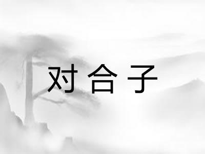对合子
