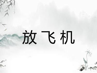放飞机 放飞机