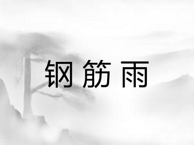 钢筋雨 钢筋雨