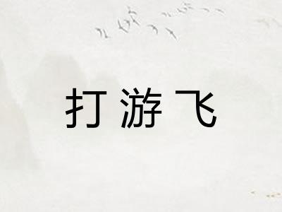打游飞