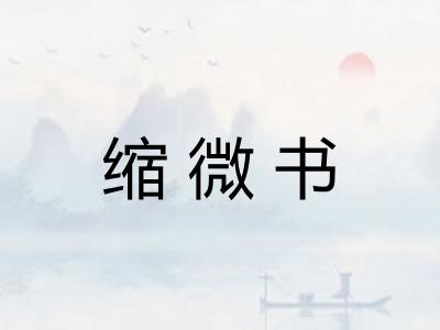 缩微书