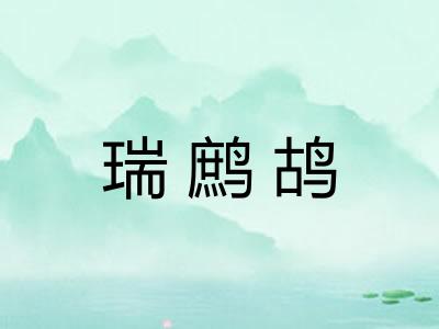 瑞鹧鸪 瑞鹧鸪