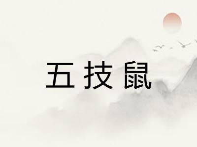 五技鼠 五技鼠