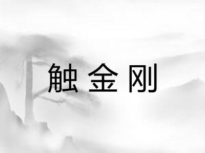 触金刚