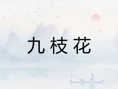 九枝花 九枝花