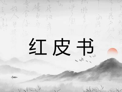 红皮书 红皮书