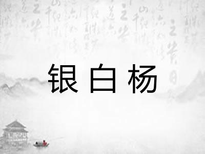 银白杨