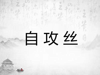 自攻丝 自攻丝