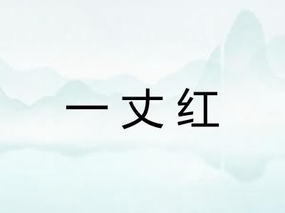 一丈红