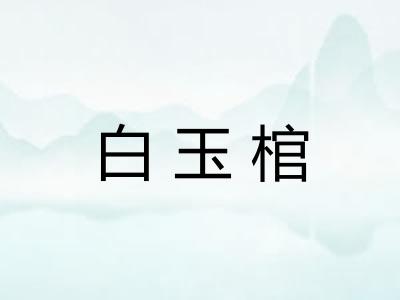 白玉棺 白玉棺