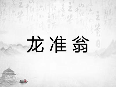 龙准翁 龙准翁