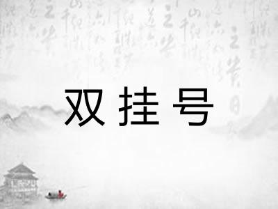 双挂号