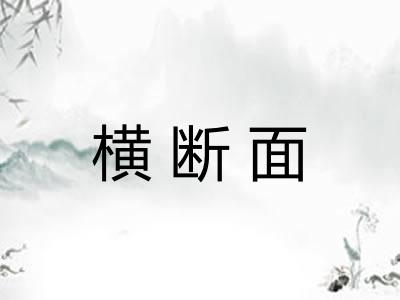 横断面 横断面