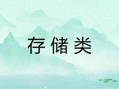 存储类 存储类