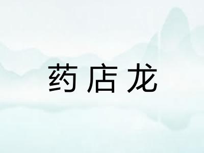 药店龙 药店龙
