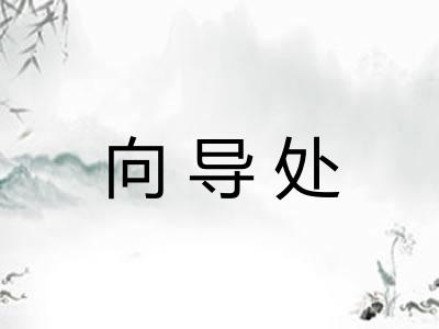 向导处 向导处