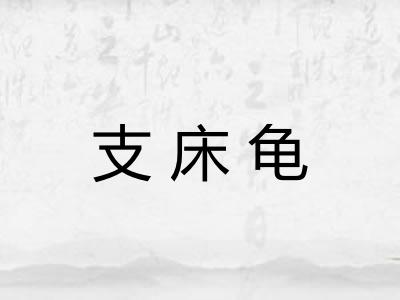 支床龟