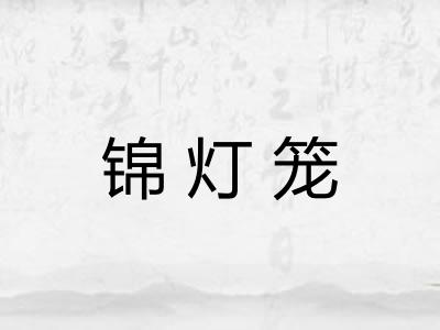 锦灯笼 锦灯笼