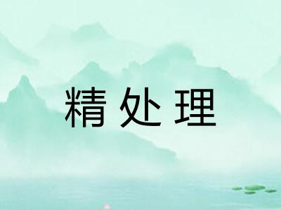 精处理 精处理