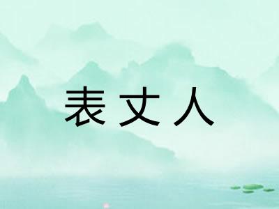 表丈人 表丈人