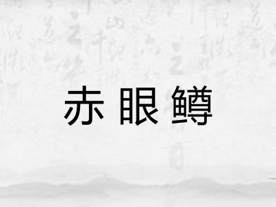赤眼鳟 赤眼鳟