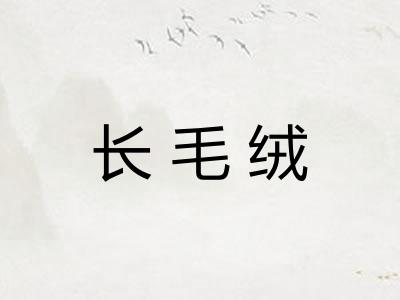 长毛绒