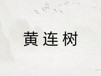 黄连树