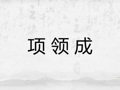 项领成 项领成