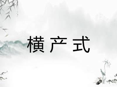 横产式