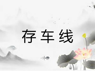 存车线 存车线