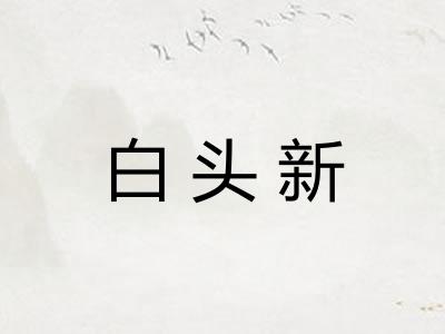 白头新 白头新