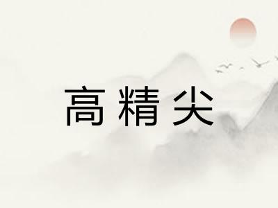 高精尖 高精尖