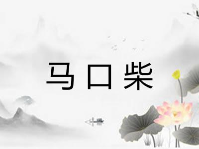 马口柴 马口柴