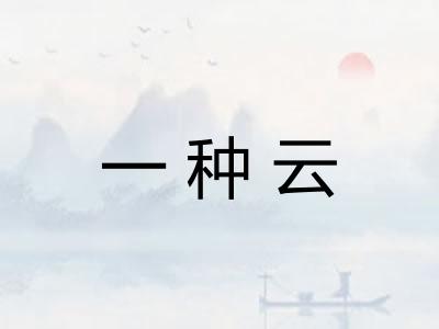 一种云