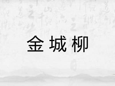 金城柳 金城柳