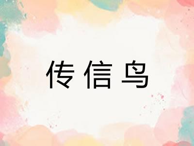 传信鸟 传信鸟