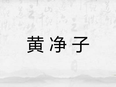 黄净子 黄净子
