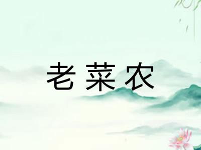 老菜农 老菜农