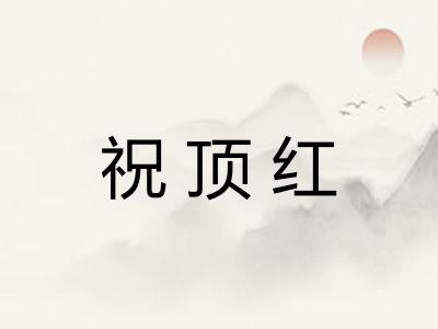 祝顶红