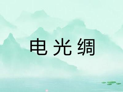 电光绸 电光绸