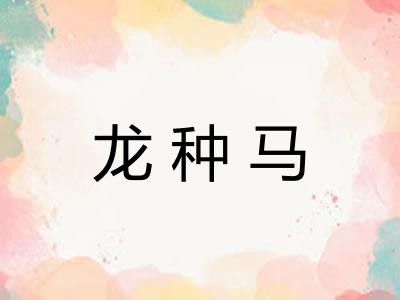 龙种马 龙种马