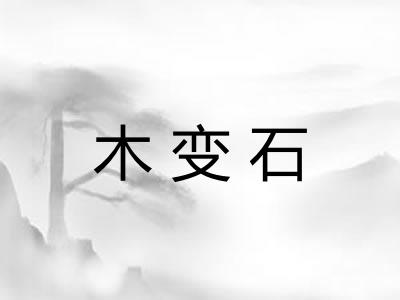 木变石 木变石