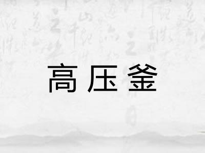 高压釜 高压釜