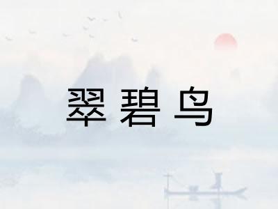 翠碧鸟 翠碧鸟