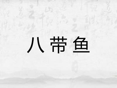 八带鱼 八带鱼